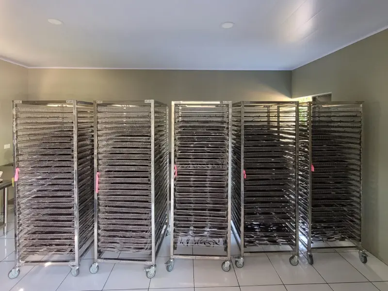 Curing room