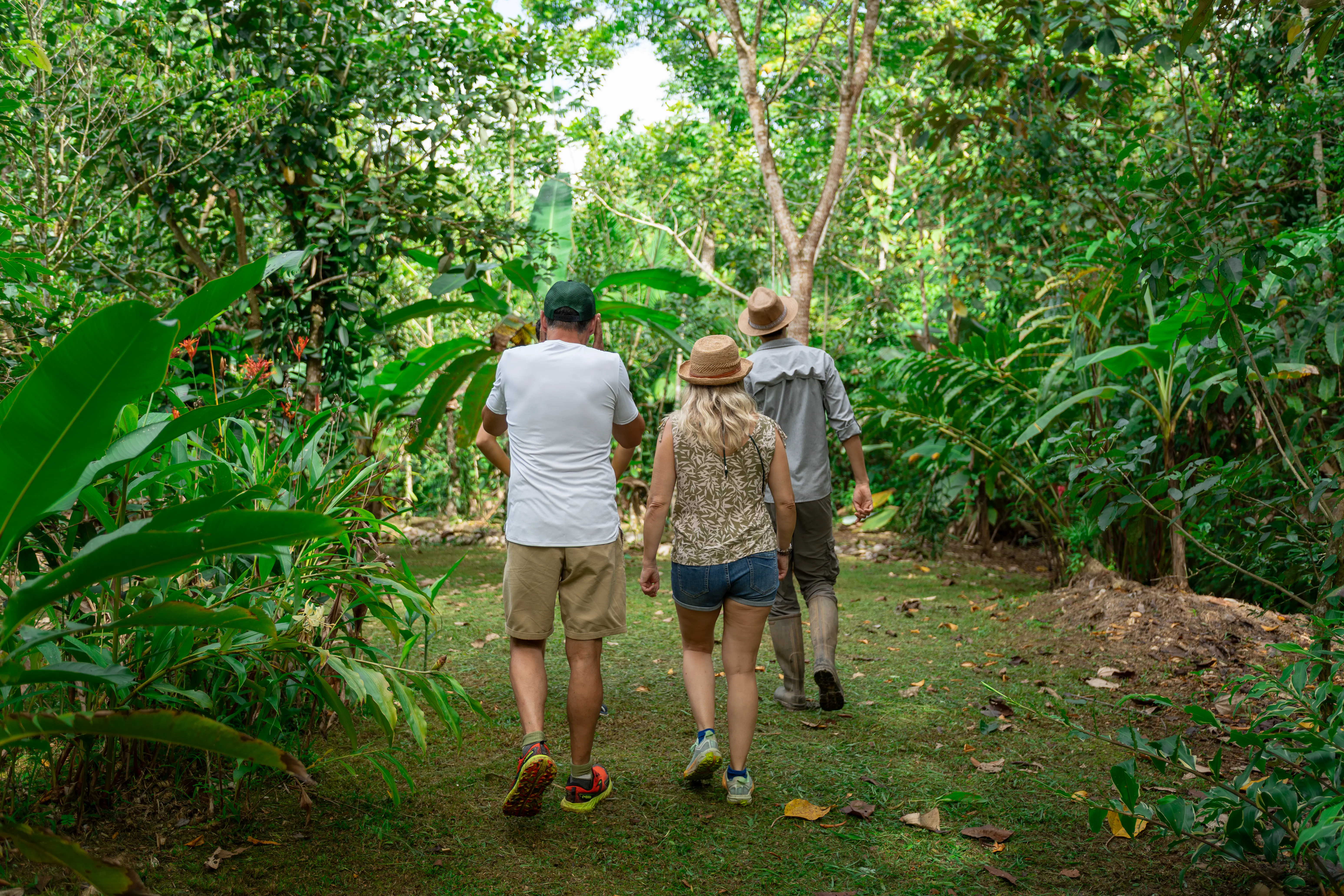 Visita a la plantación de vainilla